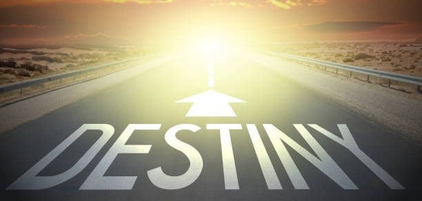 Master Your Destiny A Journey to Wealth and Self-Belief